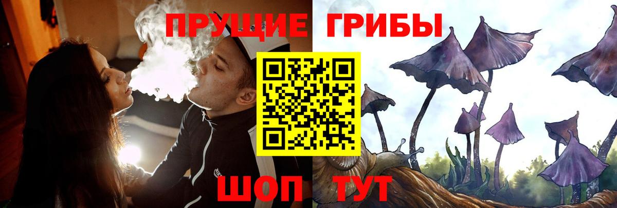Красноармейск  Галлюциногенные грибы ЛСД  Галлюциногенные грибы ЛСД  Вход с VPN 